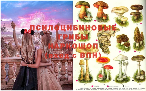 гидропоника Абдулино
