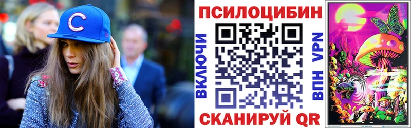 Галлюциногенные грибы мицелий  MEGA tor  Райчихинск 